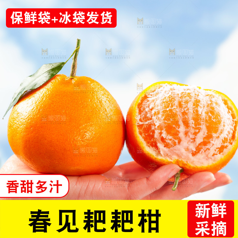 手里拿着四川春见耙耙柑