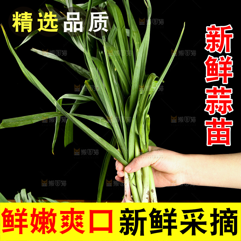 手里拿着蒜苗