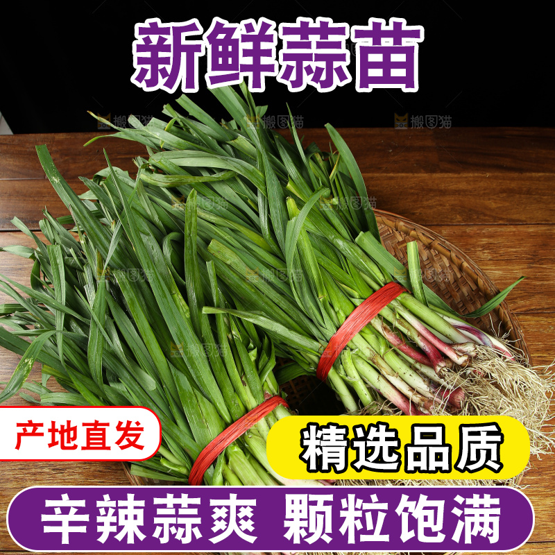 木底上放着一篮红皮蒜苗