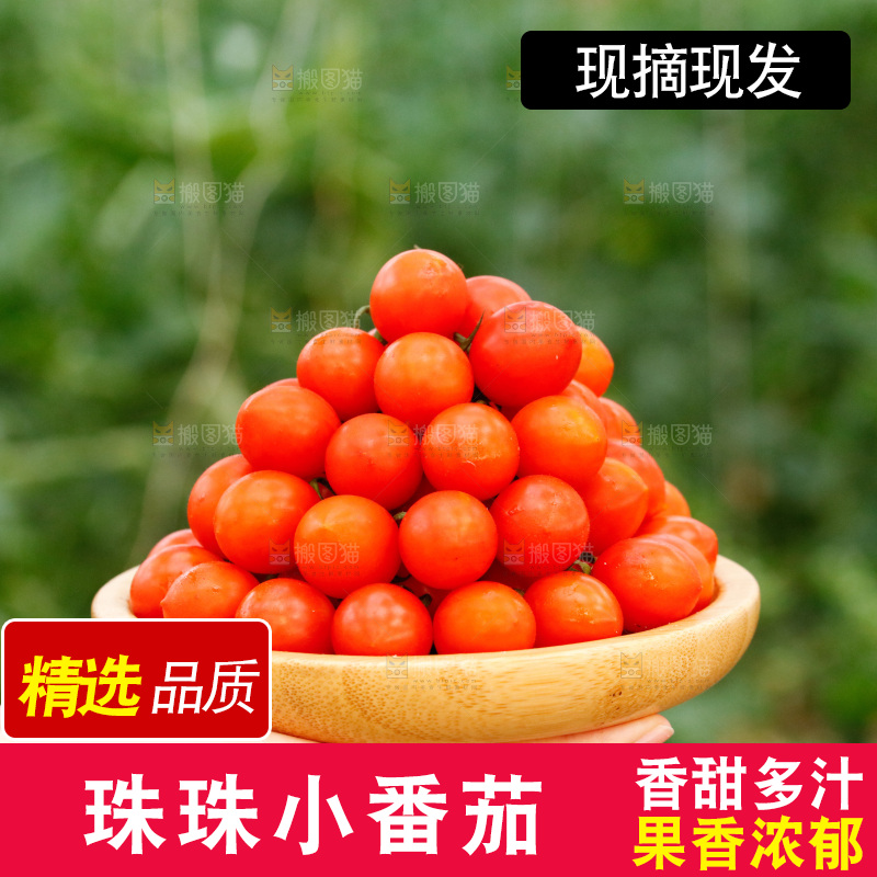 手里端着一盘珠珠小番茄