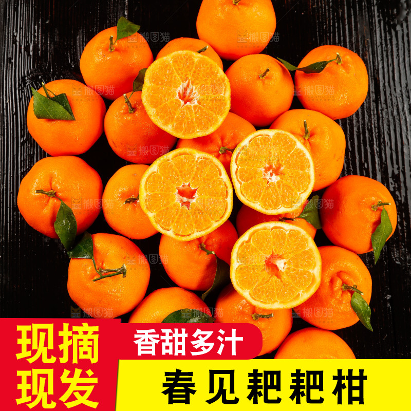 一堆春见耙耙柑