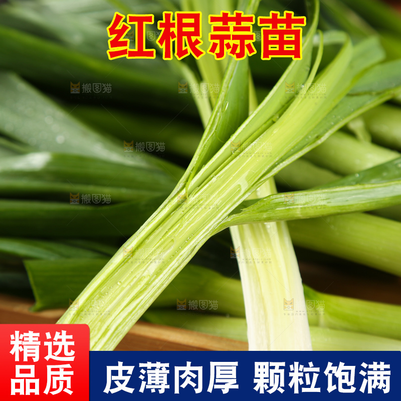 木底上放着大蒜苗