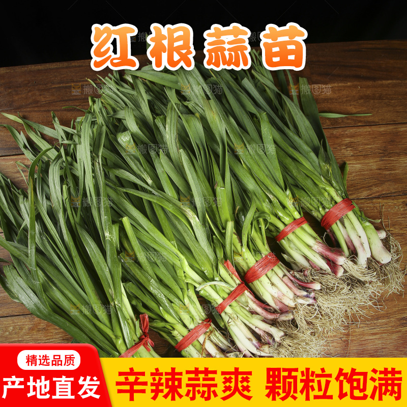 木底上放着一堆香蒜苗