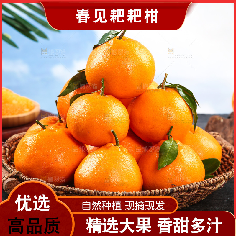 篮子里的新鲜耙耙柑