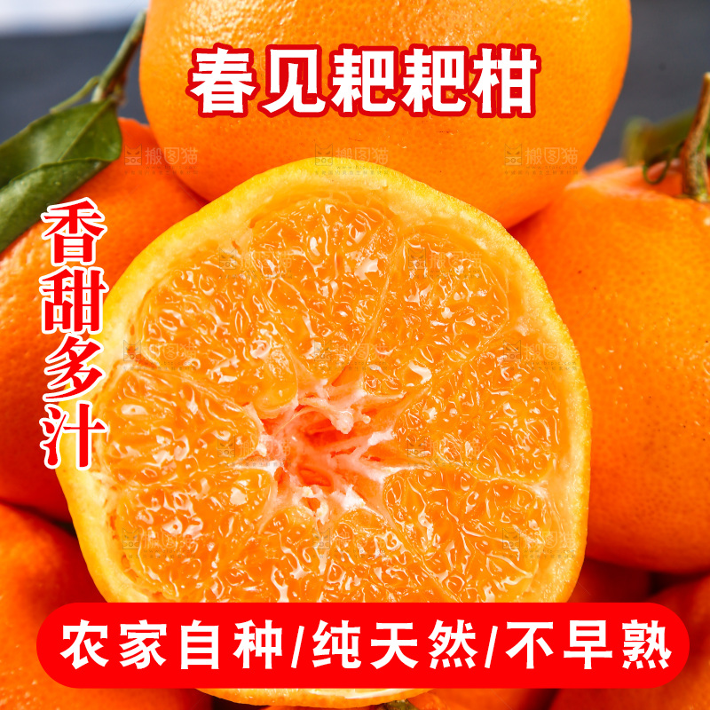 篮子里的新鲜耙耙柑