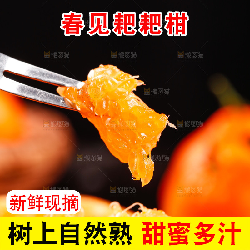 叉子上插着耙耙柑