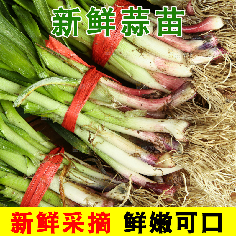木底上放着一堆香蒜苗