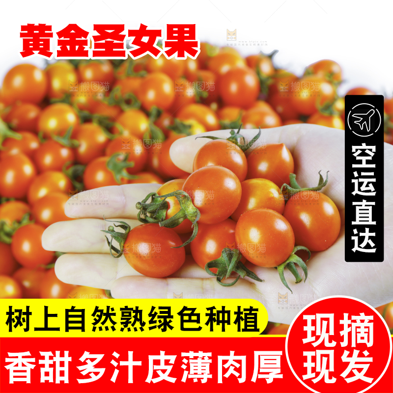 手里拿着黄金圣女果