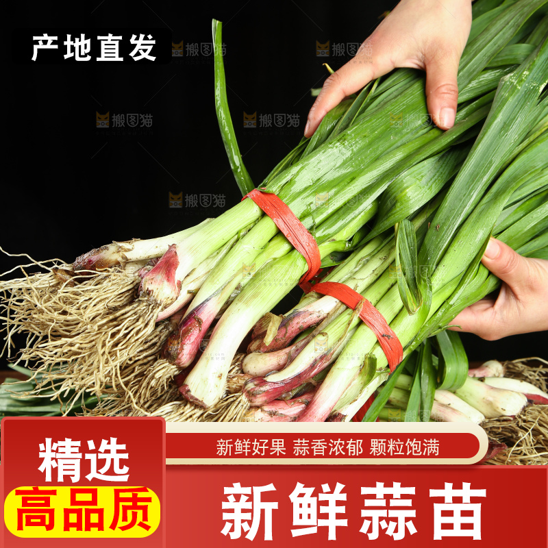 手上拿着蒜苗