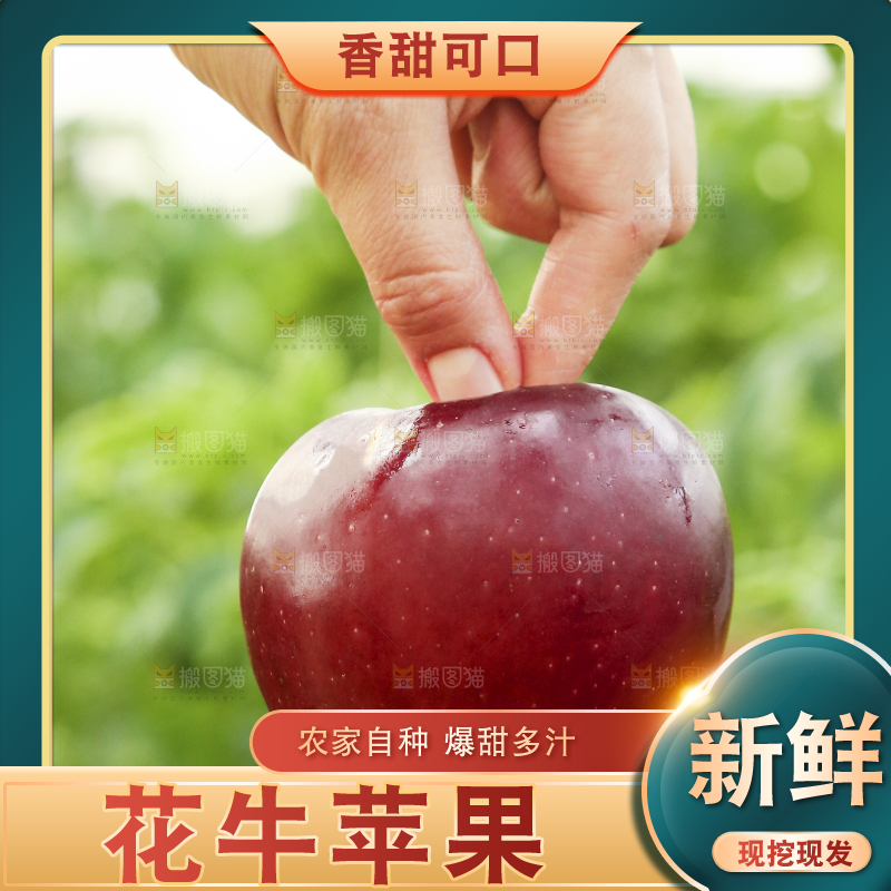 手里拿着花牛苹果