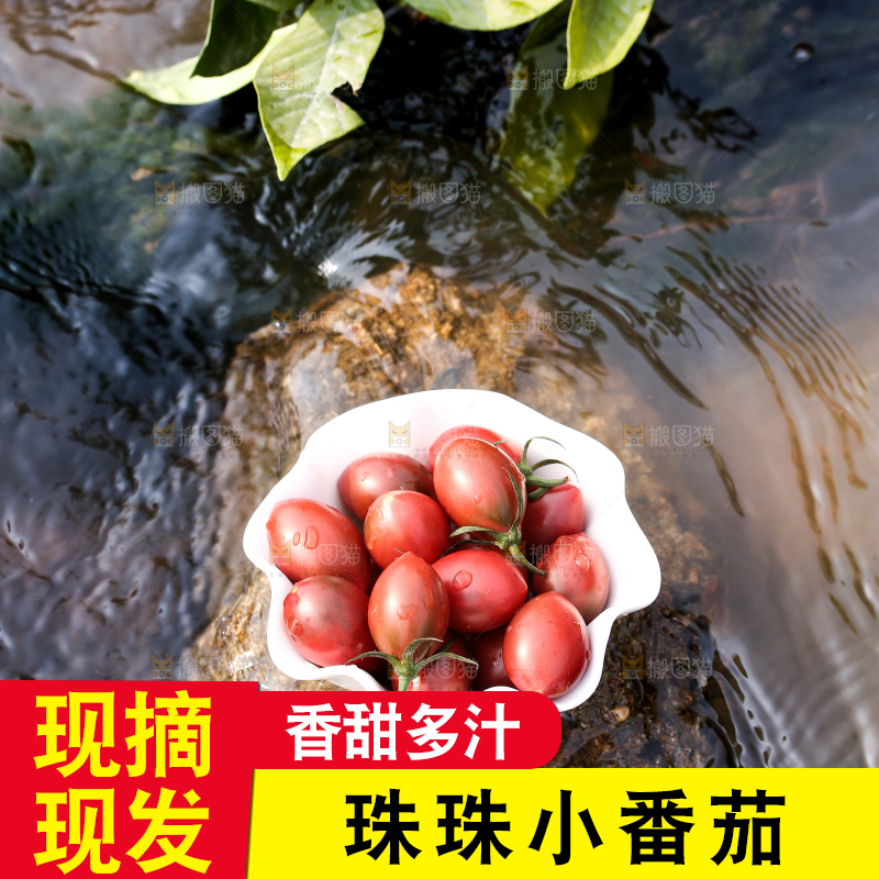碟子里装着珍珠小番茄