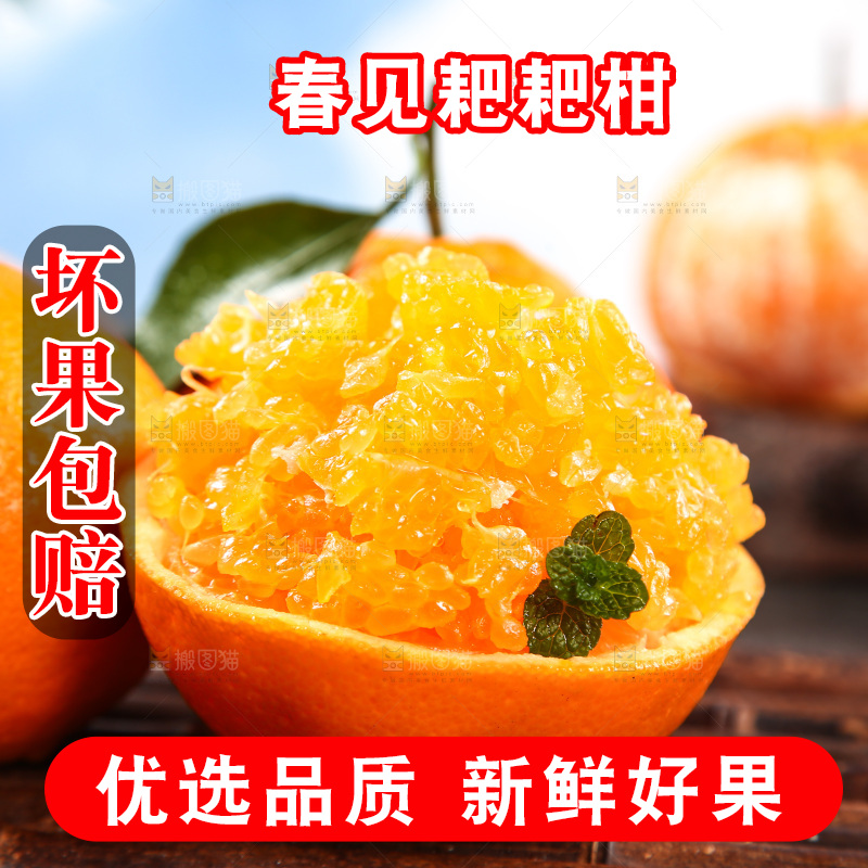 竹底上放着春见耙耙柑