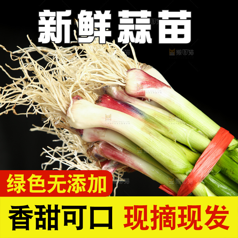 手上拿着蒜苗