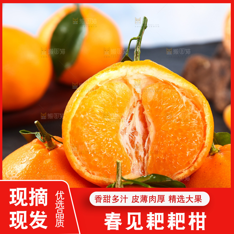 一堆春见耙耙柑