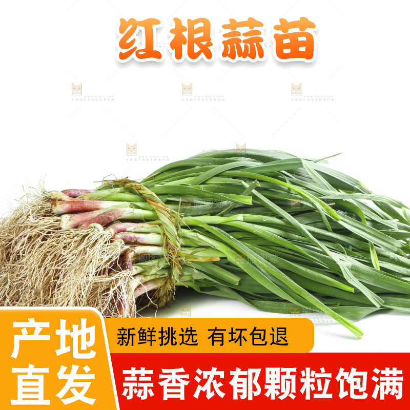 白底上放着一捆蒜苗