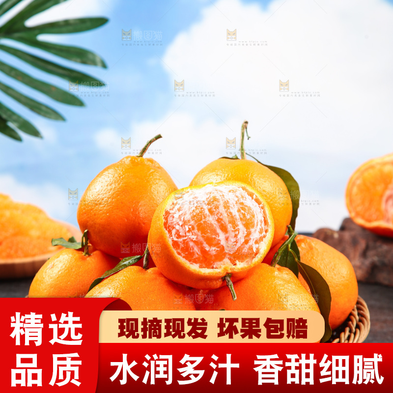 篮子里的四川春见耙耙柑