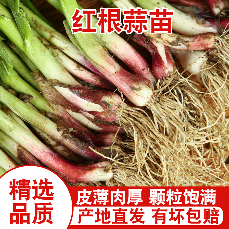 木底上放着一堆红皮蒜苗