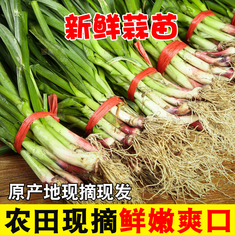 木底上放着一堆香蒜苗