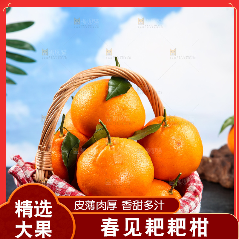 黑底上放着一篮春见耙耙柑