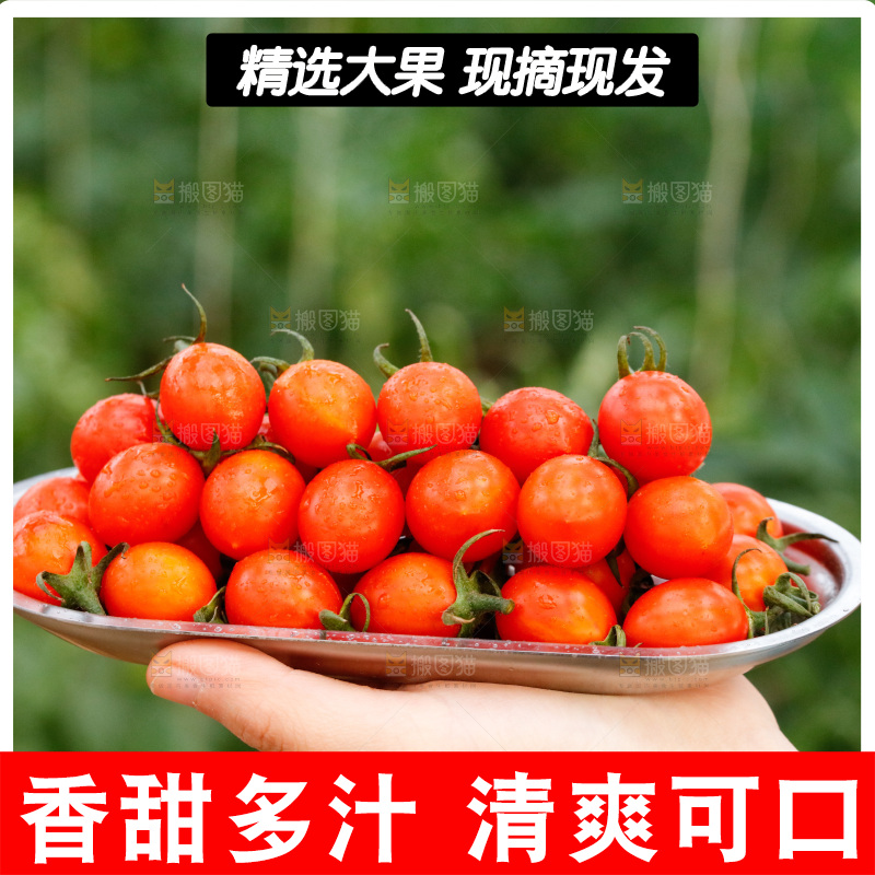 手里端着一盘珠珠小番茄