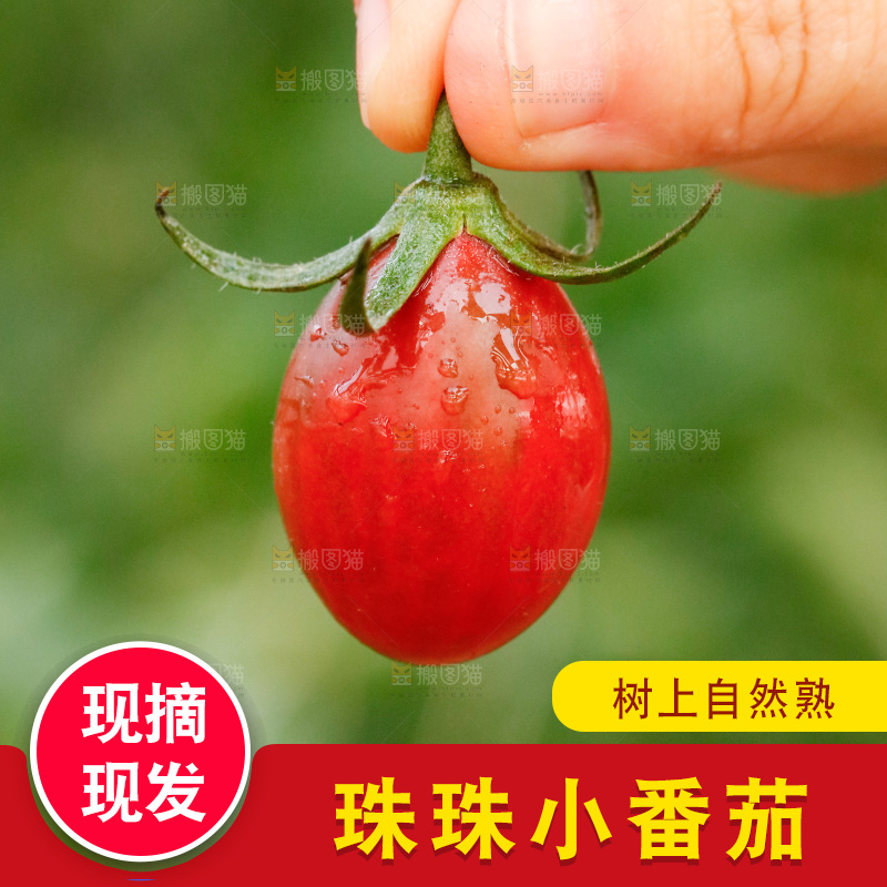 手里拿着紫葡萄小番茄