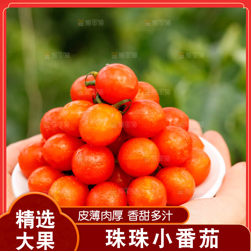 手里捧着一碟珍珠小番茄
