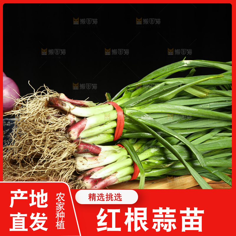 木底上放着蒜苗