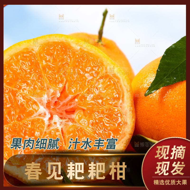 篮子里装着新鲜耙耙柑