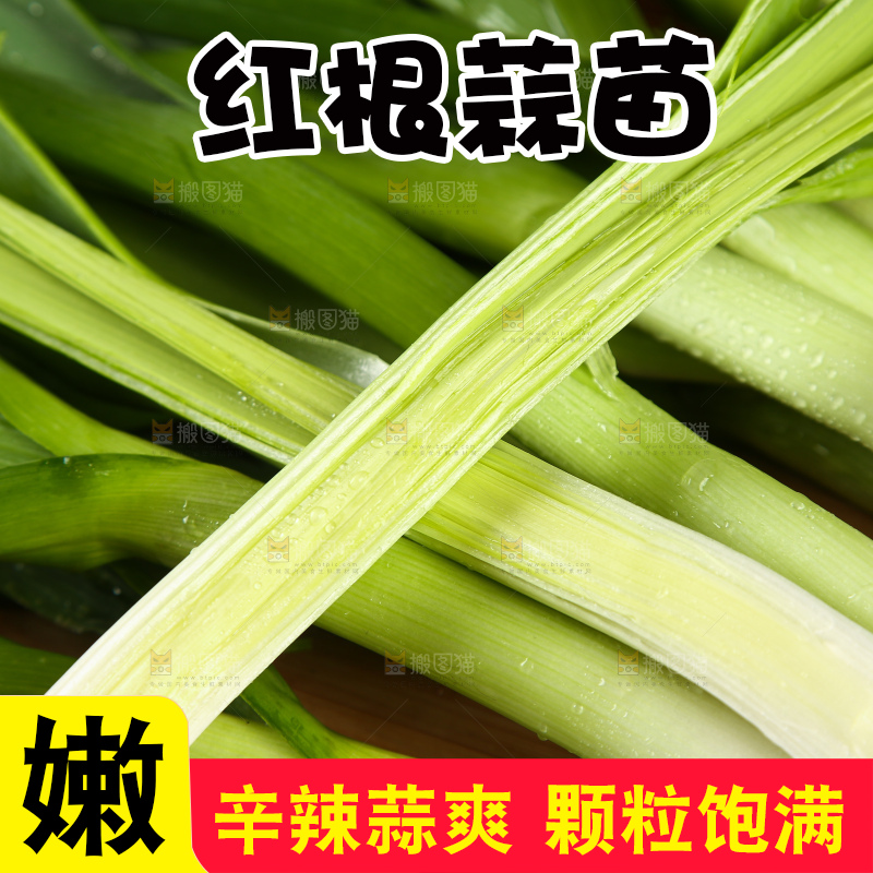 木底上放着大蒜苗