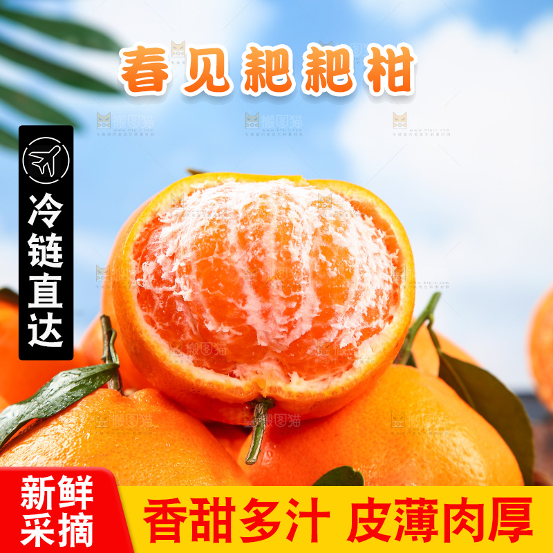 篮子里的四川春见耙耙柑