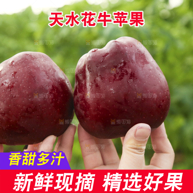 手里拿着花牛苹果