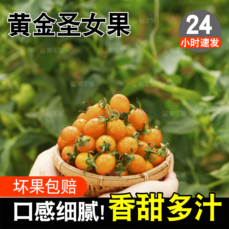 手里捧着一篮子黄金圣女果