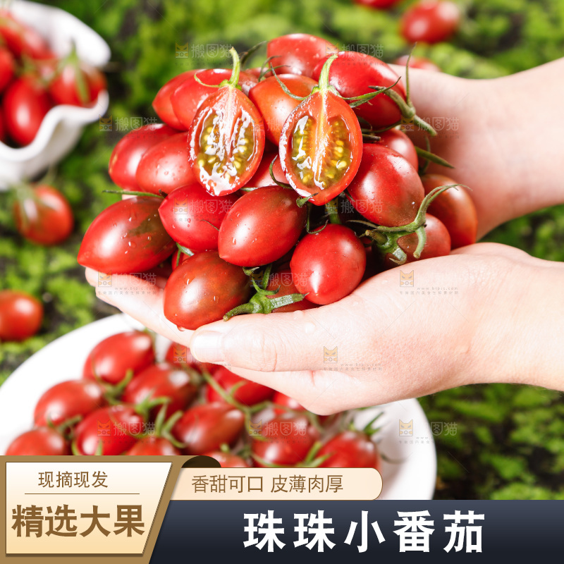 手里捧着珠珠小番茄