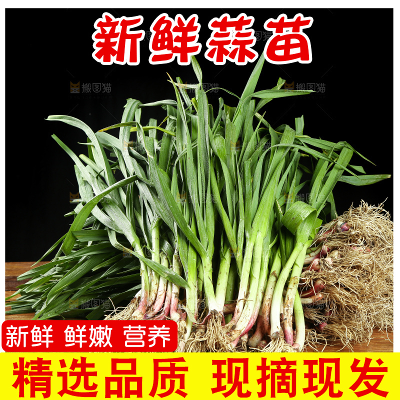 木底上放着新鲜蒜苗