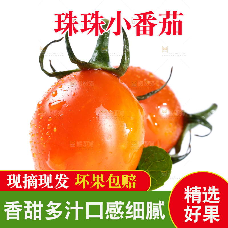 白底上放着珠珠小番茄