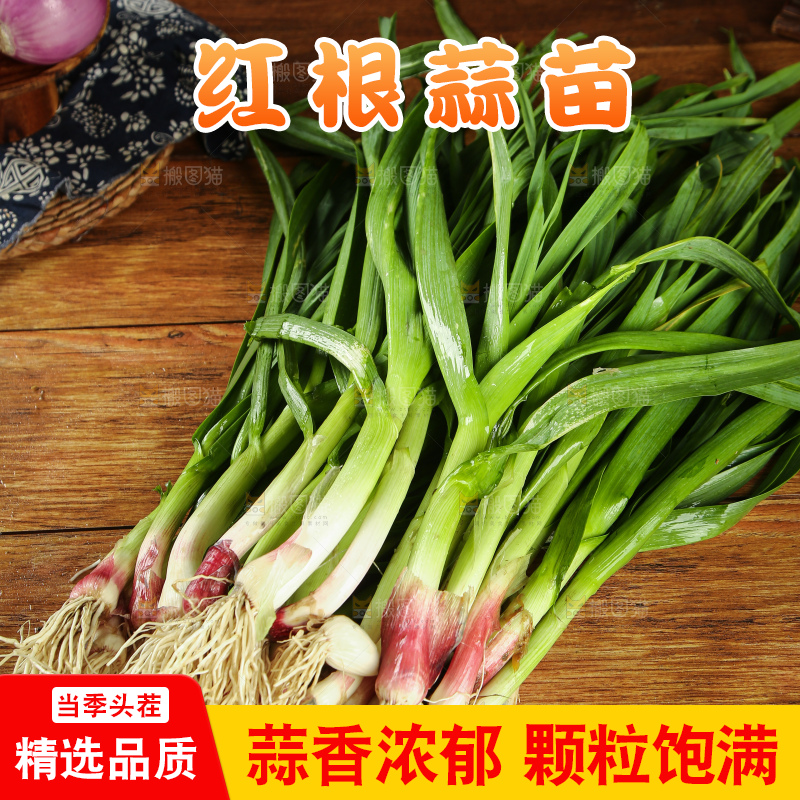 木底上放着一堆蒜苗
