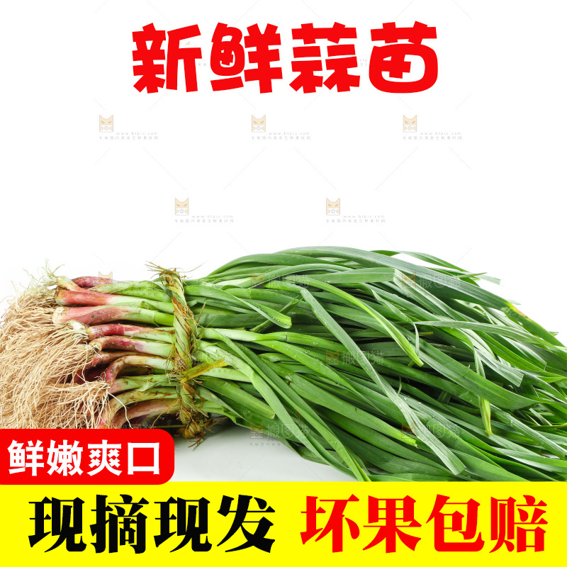 白底上放着一捆蒜苗