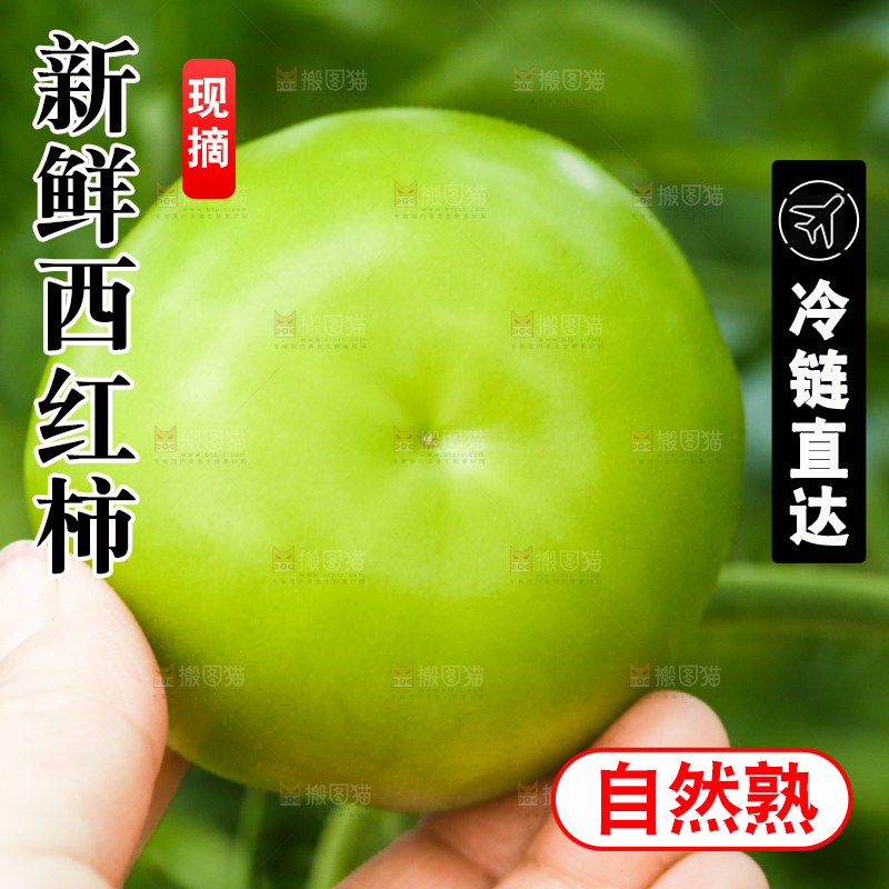 手里拿着青西红柿