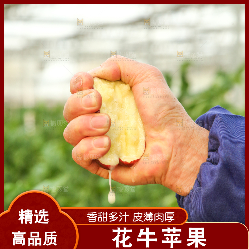 手里捏着花牛苹果