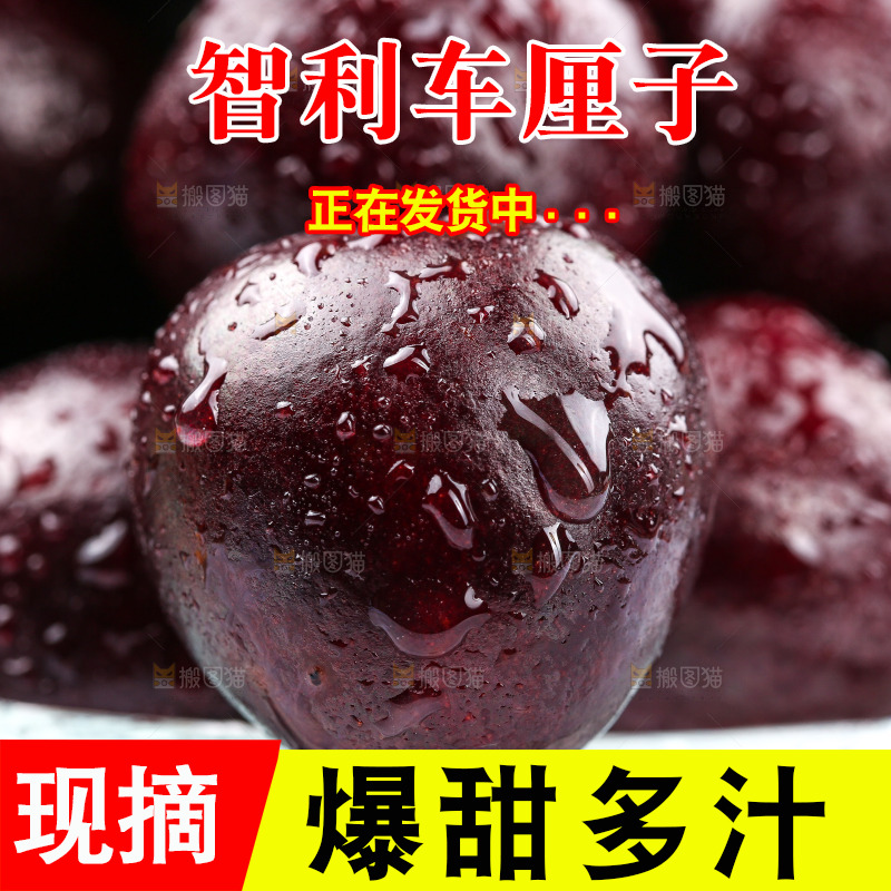 碗里装着智利车厘子
