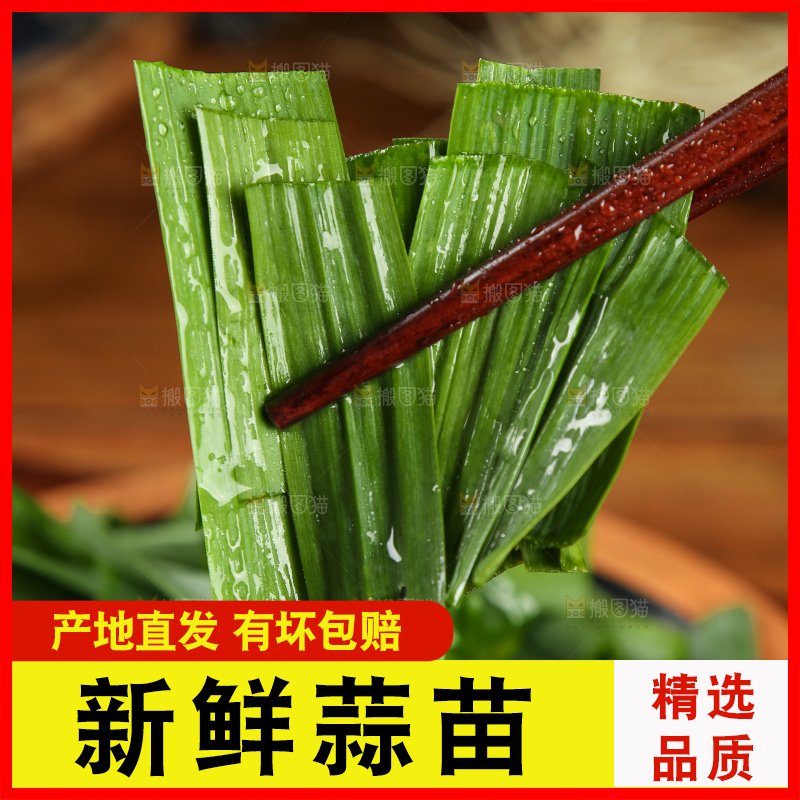 筷子上夹着大蒜叶