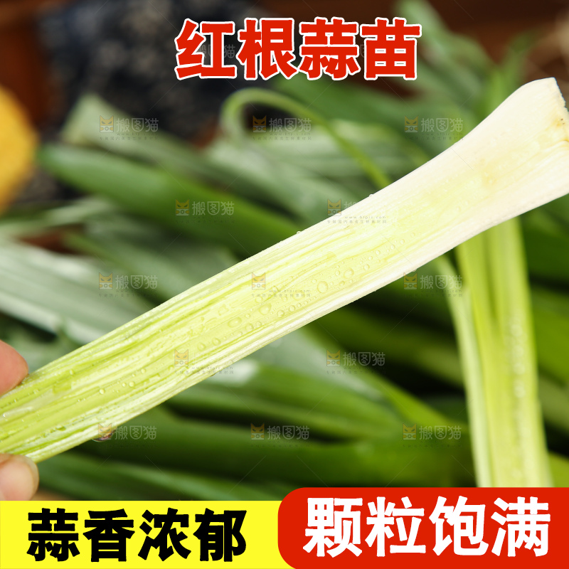 手里拿着蒜苗