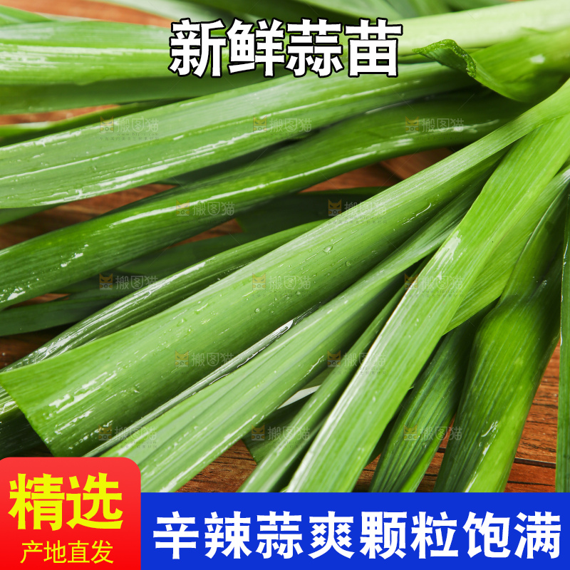 木底上放着蒜苗
