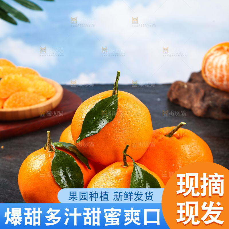 盘子里的四川春见耙耙柑