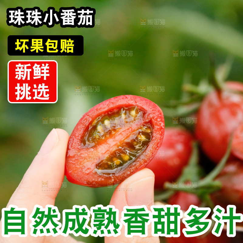 手里拿着切开的珍珠小番茄