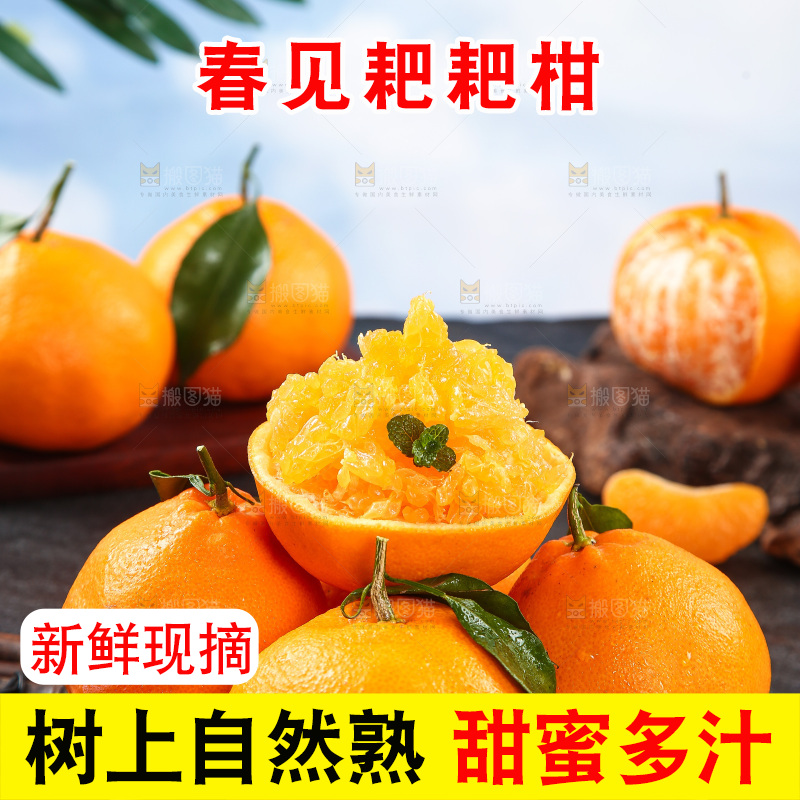 竹底上放着一盘春见耙耙柑