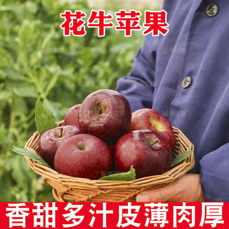 手里捧着一篮子花牛苹果