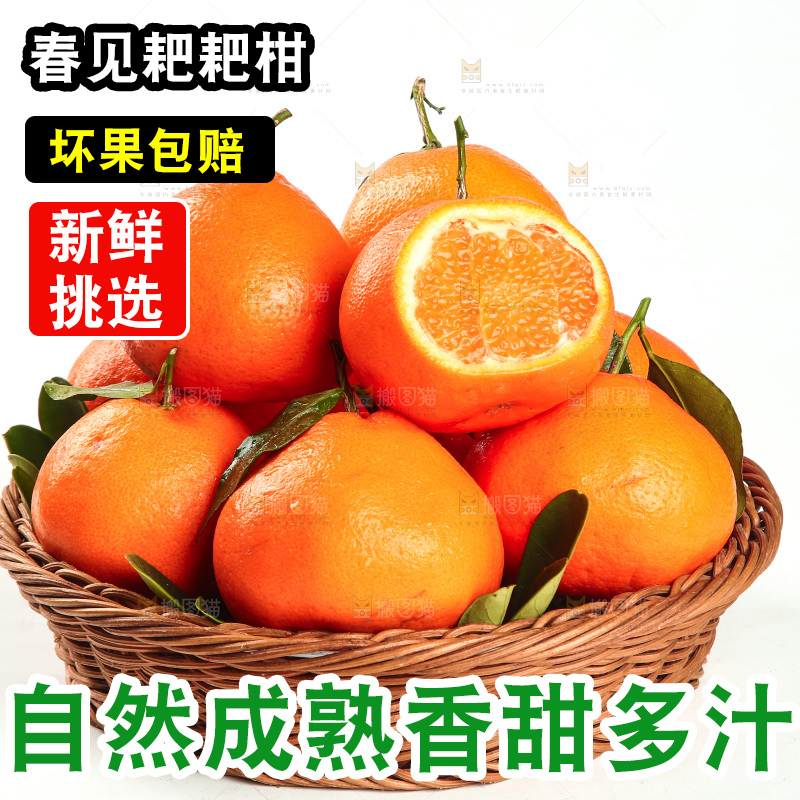 篮子里的耙耙柑