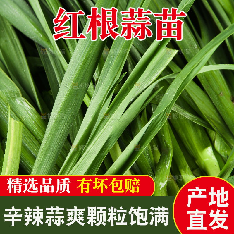 一堆大蒜苗
