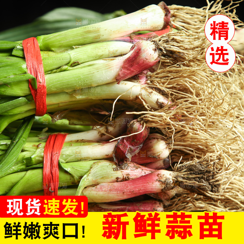 木底上放着一堆大蒜苗